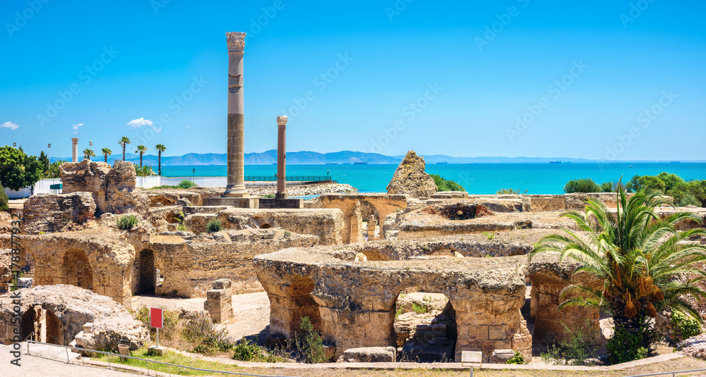 Obraz premium Ruiny starożytnej Kartaginy. Tunis, Tunezja, Afryka Północna