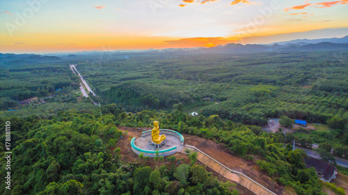 Golden big Buddha beside hight way