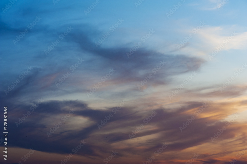 The tiny or tender  sky texture or background. Sunset.