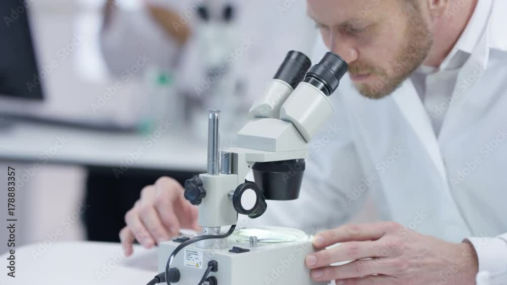  Close up medical researcher in the lab looking at a slide under microscope