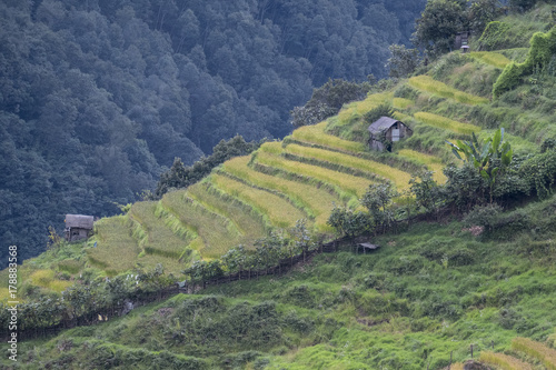 Rice Paddies and Huts on Steep Hillside, Trongsa, Bhutan. photo