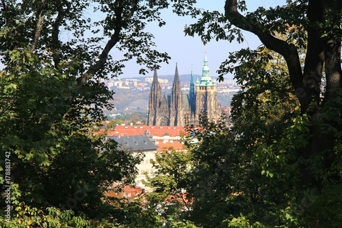 St. Vitus Chatedrale photo