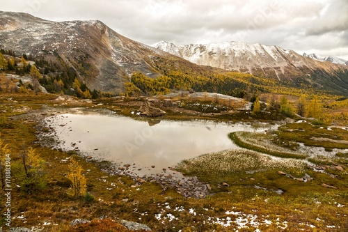 Banff National Park Rocky Mountain Landscape and Dramatic Cloudy Sky as Golden Larches change colors in early Autumn 