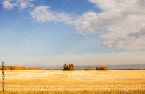 A golden harvested field surrounded by clumps of trees in a colorful autumn countryside landscape