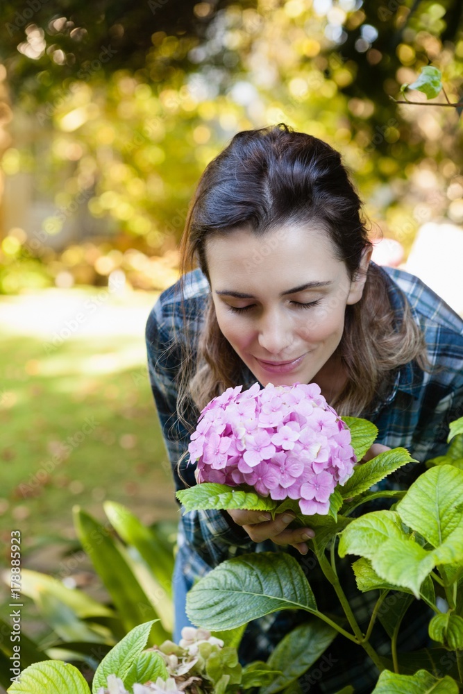 Beautiful woman crouching while smelling at purple hydrangea Beautiful woman crouching while smelling at purple hydrangea