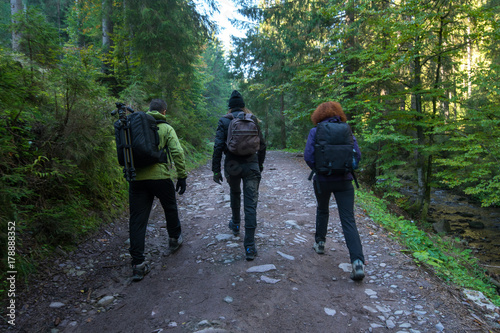 Group of hikers on a trail