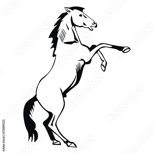Horse_mustang