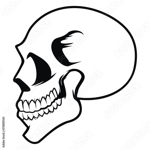 skull