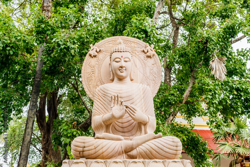 Buddha statue sitting under Bodhi tree