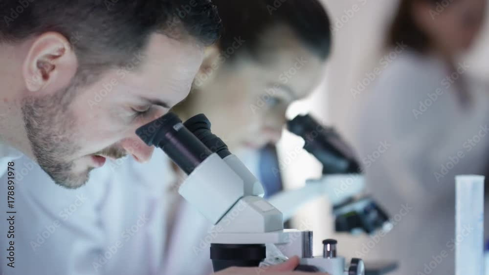 Research scientists working in the lab, looking into microscopes and discussing results. Research scientists working in the lab, looking into microscopes and discussing results.