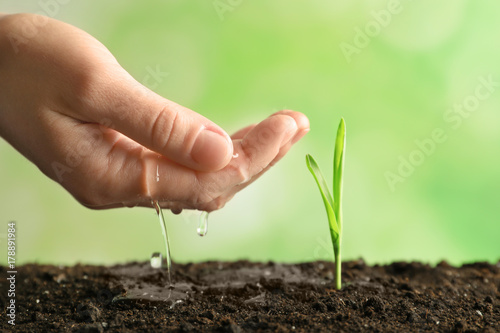 Woman watering young sprout on blurred background