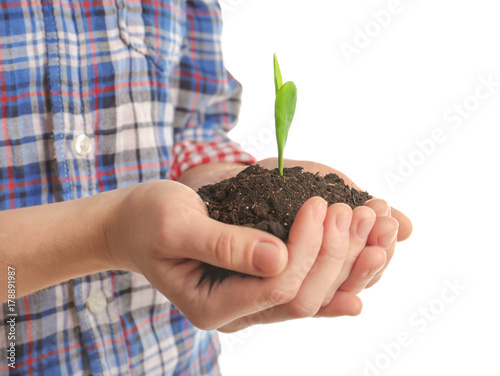 Woman holding soil with green sprout on white background