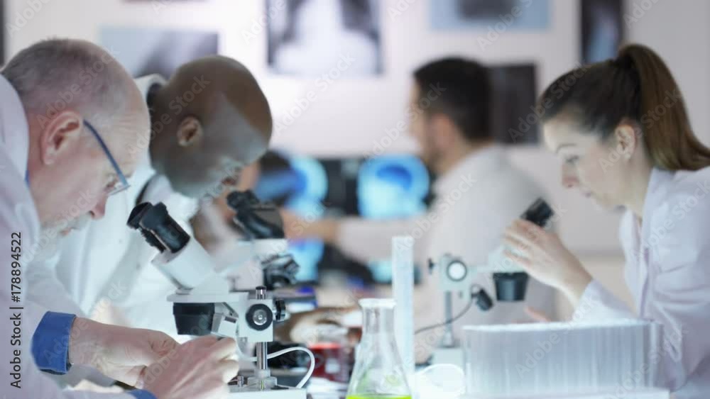 Happy scientific research team make a discovery in the lab.