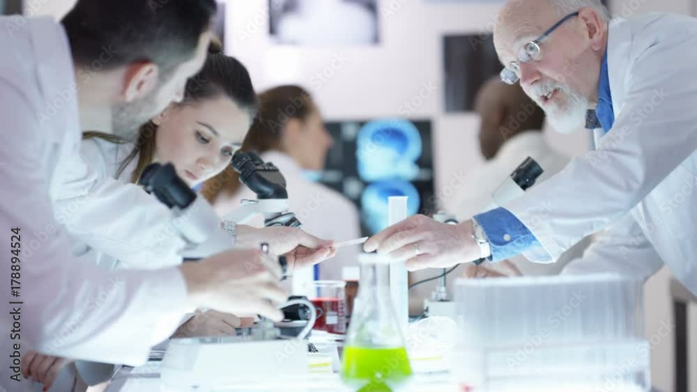 Scientific research team in the lab, looking into microscopes and discussing results. Senior scientist working with young researchers. Scientific research team in the lab, looking into microscopes and discussing results. Senior scientist working with young researchers.