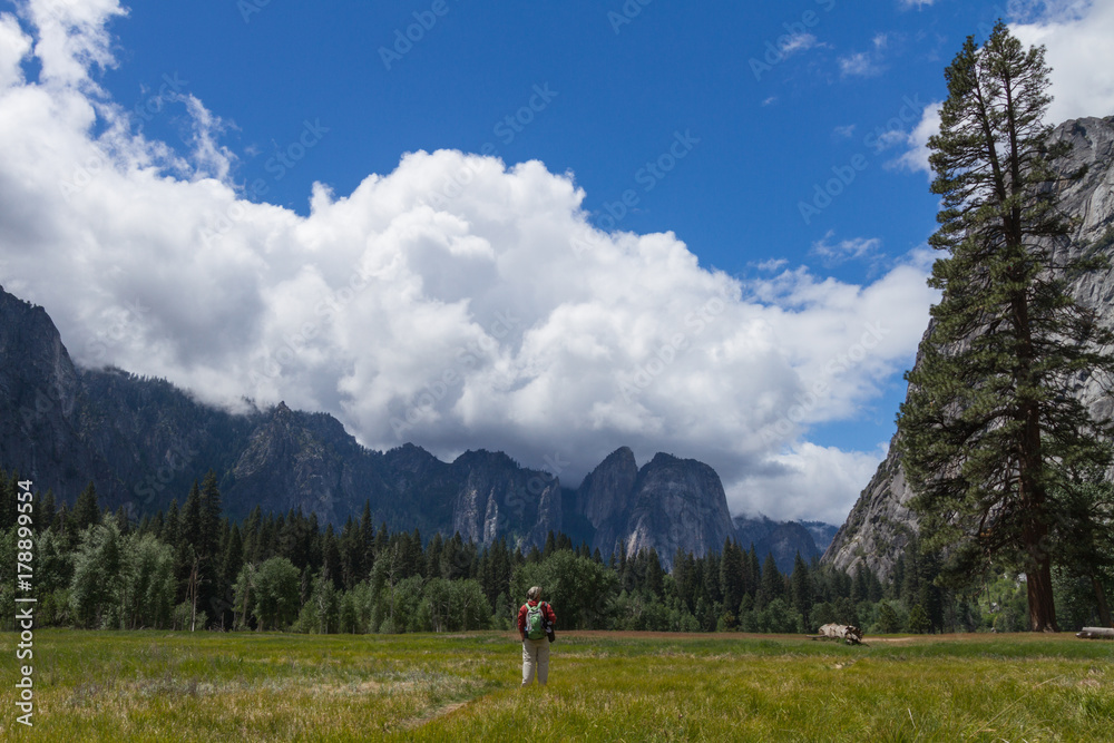Male Hiker Standing in a Meadow, Yosemite National Park, California, USA