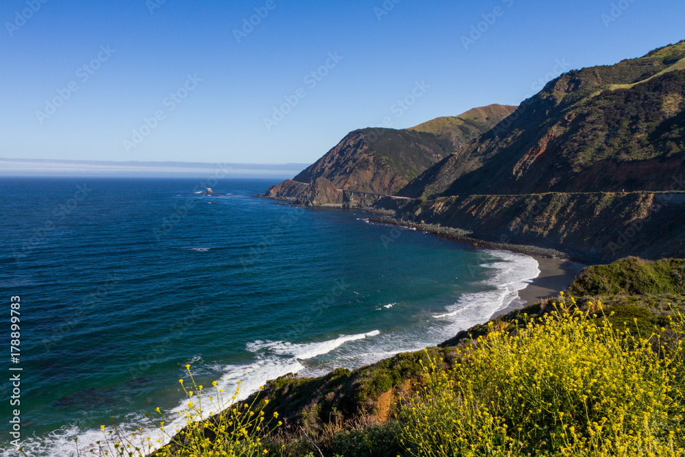 Ocean view with yellow wildflowers near Bixby Creek Bridge in Big Sur, California, USA