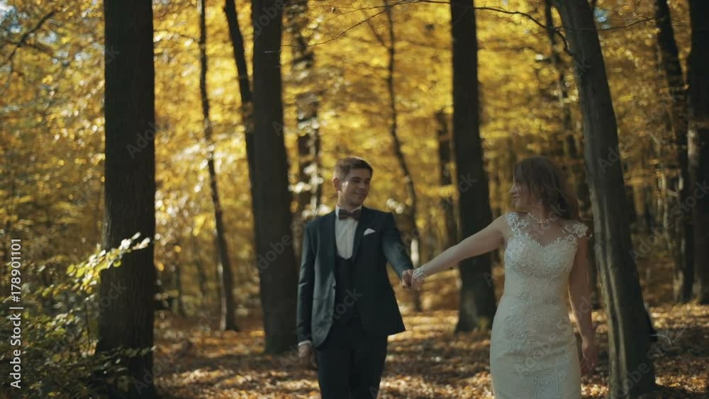 Lovely wedding couple walking in a golden forest Lovely wedding couple walking in a golden forest