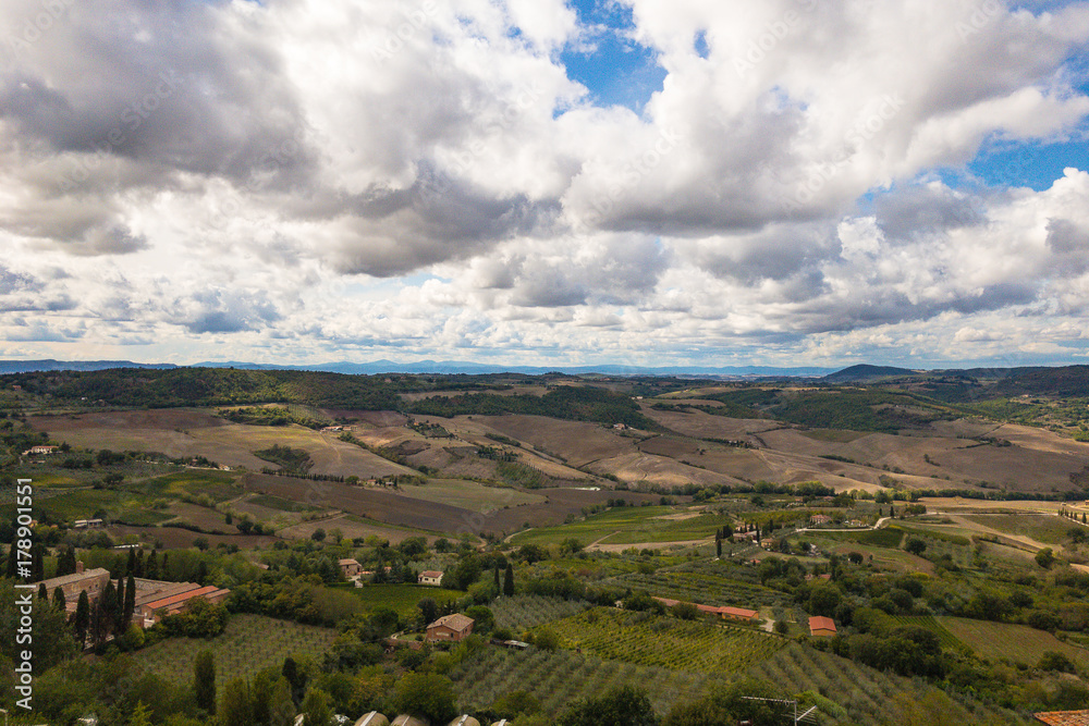 Obraz premium Valley and Vineyards