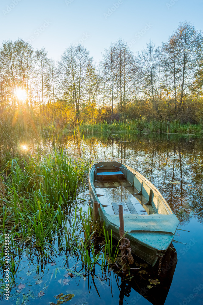A fisherman's cane on the background of a river sunset A fisherman's cane on the background of a river sunset