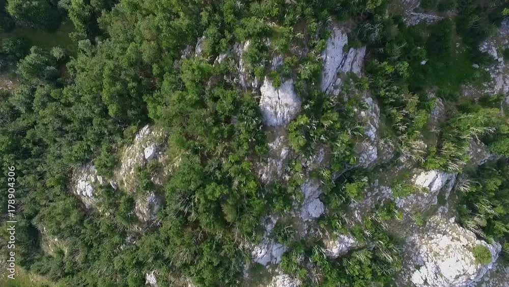 Aerial view over the forest in the mountains Aerial view over the forest in the mountains