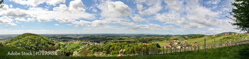 Panoramblick in Ostssteiermark, Weinberg, Pischelsdorf am Kulm