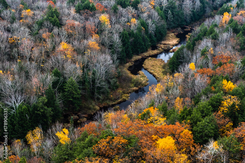 Winding River in Autumn
