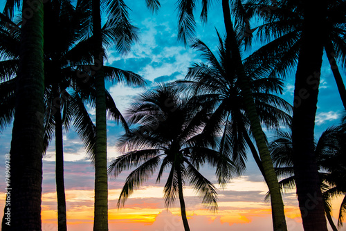 Coconut tree on the beach with sunset sky background ,vintage tone.