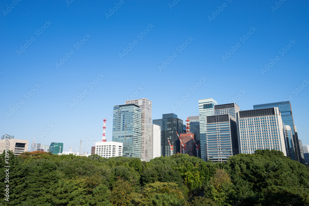 皇居東御苑から見る丸の内方面の風景