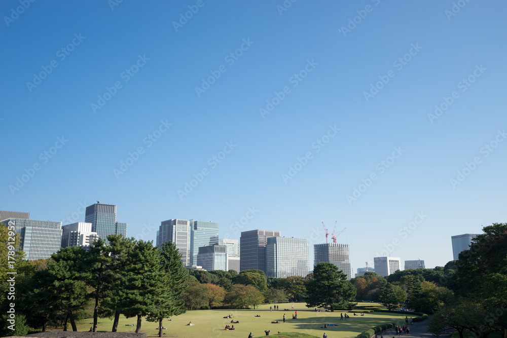 Fototapeta premium 皇居東御苑から見る丸の内方面の風景