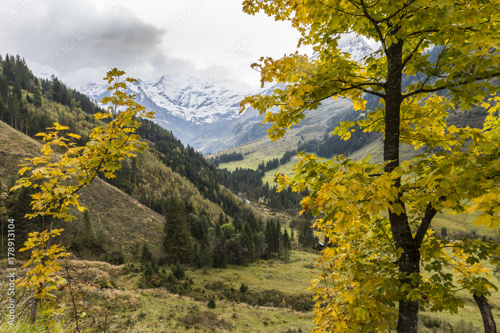 Naklejka premium Autumn at the Grossglockner