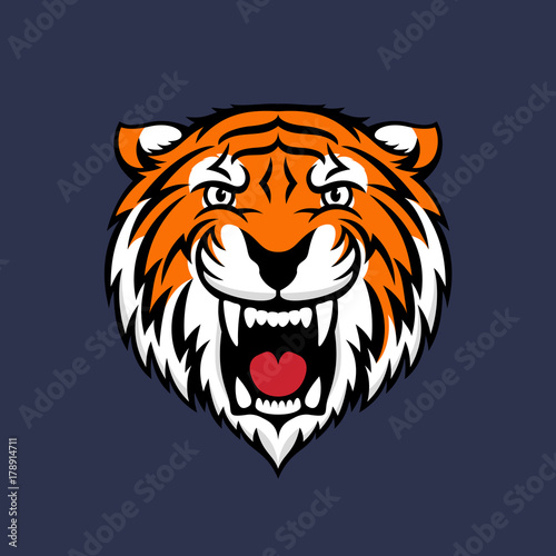 Fototapeta Naklejka Na Ścianę i Meble -  Colorful tiger head logo emblem or icon. Stock vector illustration.