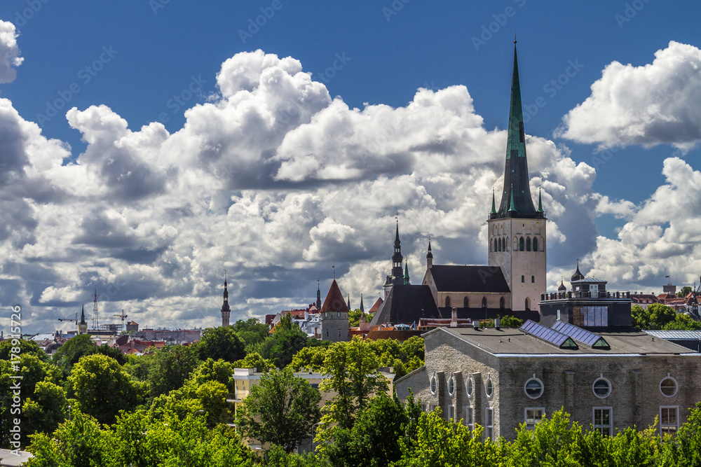 Tallinn city skyline during summer