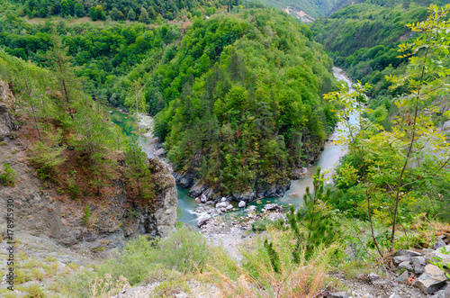 Bend of Tara River canyon  mountain landscape  Montenegro