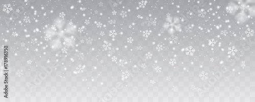 Fotografie, Obraz Vector heavy snowfall, snowflakes in different shapes and forms