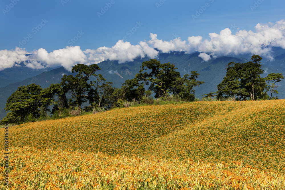 Obraz premium beauty in Taiwan