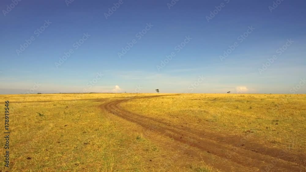 maasai mara national reserve savanna at africa maasai mara national reserve savanna at africa