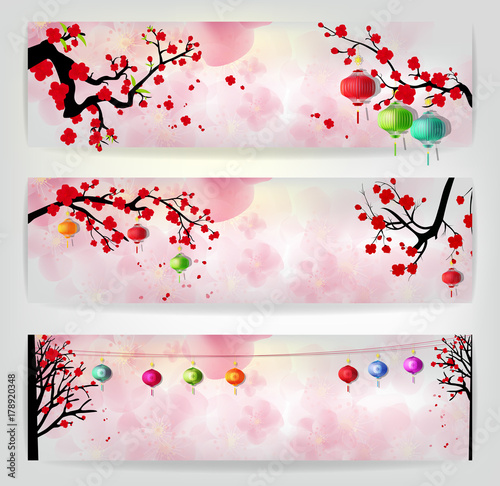 Cherry blossom for Chinese New Year and lunar new year