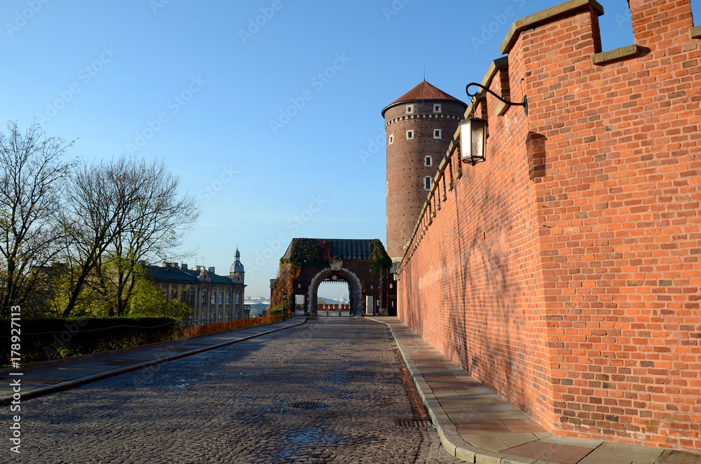 The castle in Krakow, Poland (Wawel)