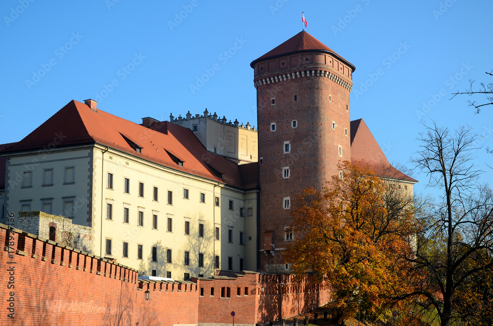 Fototapeta premium The castle in Krakow, Poland (Wawel)