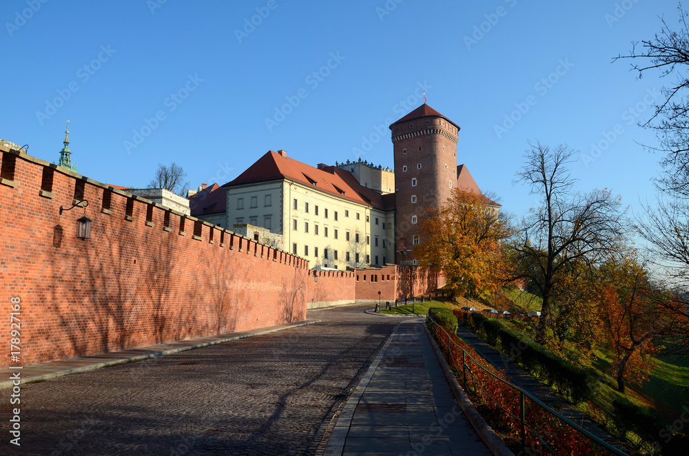 The castle in Krakow, Poland (Wawel)