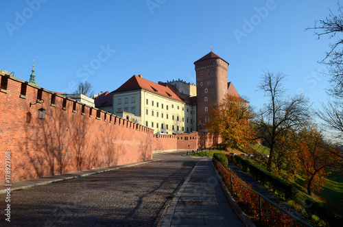 Obraz na płótnie The castle in Krakow, Poland (Wawel) w salonie