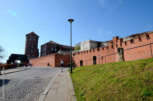 Obraz na płótnie The castle in Krakow, Poland (Wawel) w salonie
