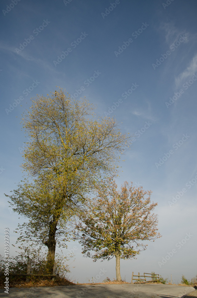the heat of autumn colors