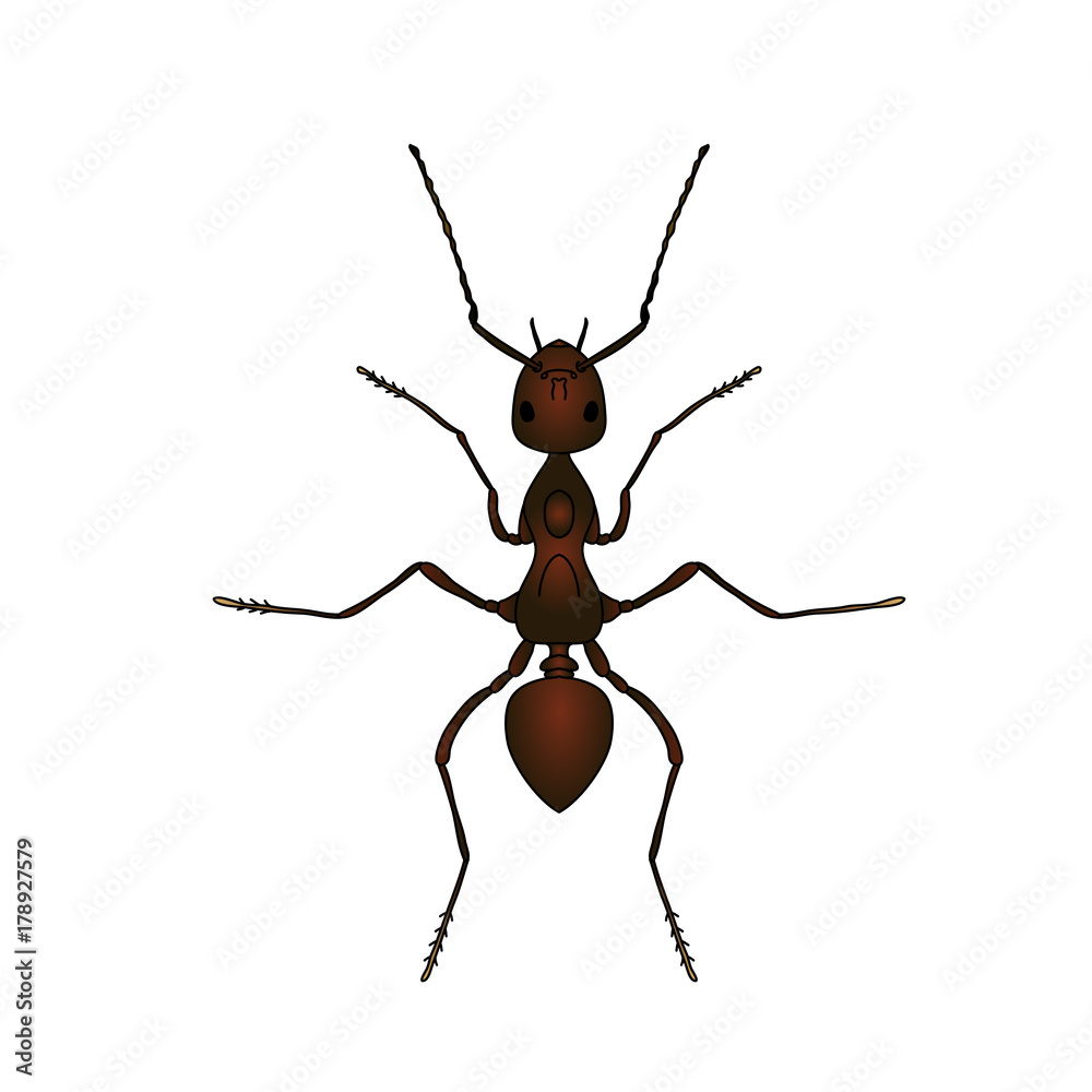 Ant hand drawn sketch icon Royalty Free Vector Image