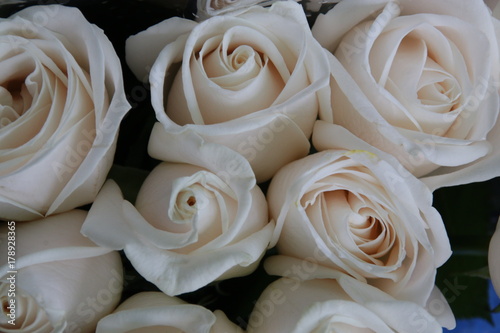 A Bouquet of White Rose