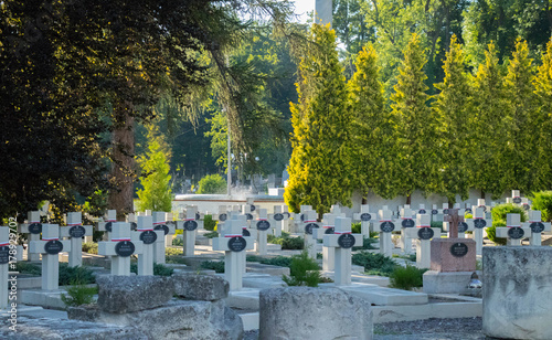 white military crosses set in equal rows against the background of summer green and full sun