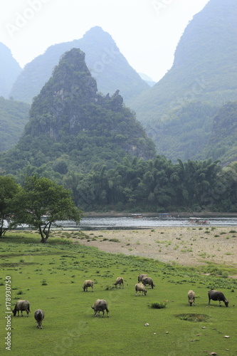 漓江山水 photo