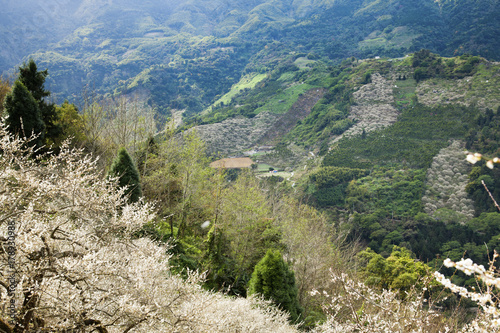 beauty in Taiwan