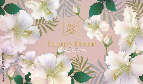 Luxury card with lily flowers Vector. Beautiful illustration for brand book, ...