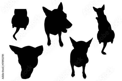 Dog set silhouette and clipping path included to remove the background with ease. - action illustration.